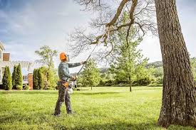 Best Lawn Mowing  in Clayton, NJ