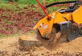  Clayton, NJ Tree Services Pros