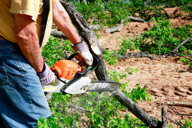Best Utility Line Clearance  in Clayton, NJ